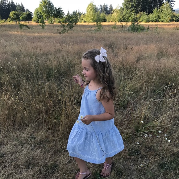 Gap girls embroidered dress - Picture 9 of 9